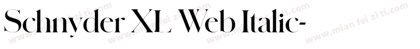 Schnyder XL Web Italic字体转换